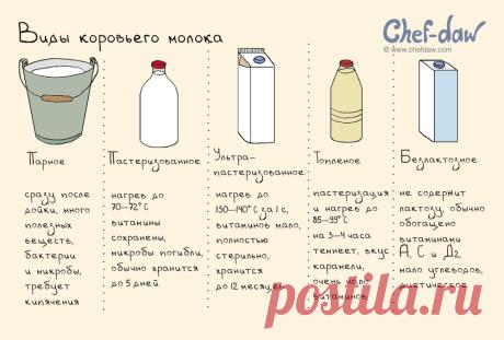 инструкции и памятки для домохозяек: 3 тыс изображений найдено в Яндекс.Картинках
