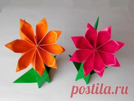 Цветок 8 лепестков, Flower petals 8