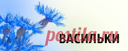 Список ядовитых растений запомните или сохраните