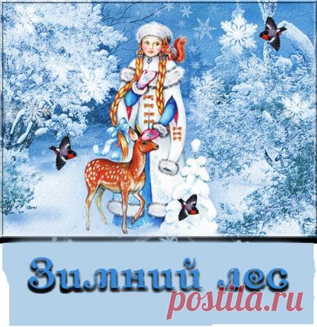 * Зима * | Записи в рубрике * Зима * | МИР КРАСОТЫ - БЛОГ MegaRut