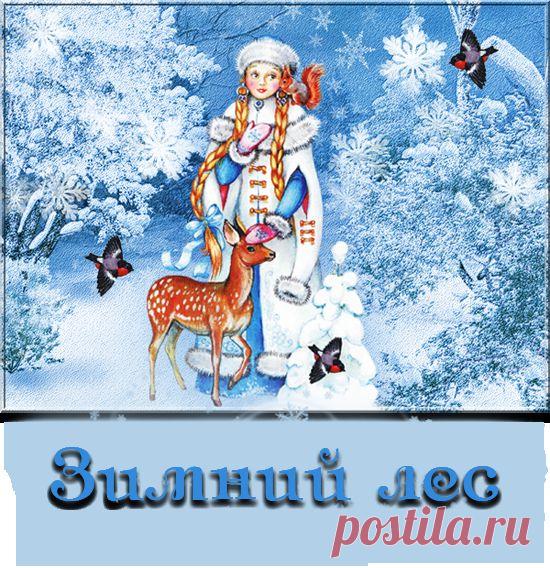 * Зима * | Записи в рубрике * Зима * | МИР КРАСОТЫ - БЛОГ MegaRut