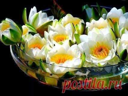 Мария Варум