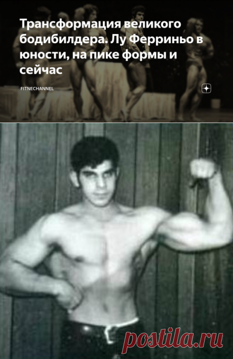 Трансформация великого бодибилдера. Лу Ферриньо в юности, на пике формы и сейчас | fitnechannel | Яндекс Дзен
