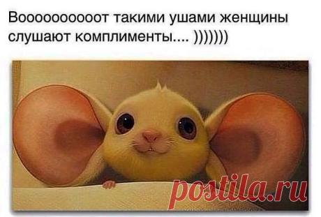 100% Позитива