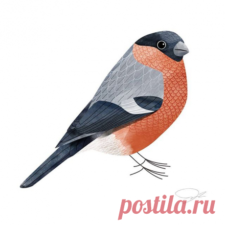 This bullfinch was the third bird in 3 days. I will be doing a new one in the coming hour and you can vote for which of these three it should be: (1) #goldfinch (Stieglitz)
(2) #nuthatch (Kleiber)
(3) #kingfisher (Eisvogel)

Share your comment below before 12:30.