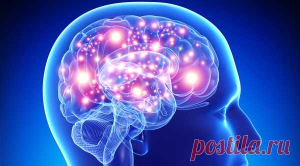 Иностранный язык и развитие мозга: 6 фактов