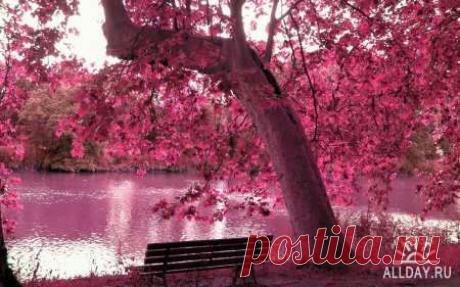 50 Beautiful Autumn HD Wallpapers Set 7 » ALLDAY - народный сайт о дизайне