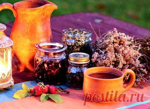 ПРИРОДА- ЛУЧШИЙ ЛЕКАРЬ! — Возрождение