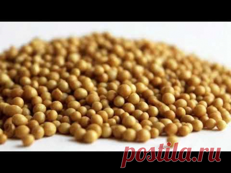 Удобрения пролонгированного действия. За и против - YouTube