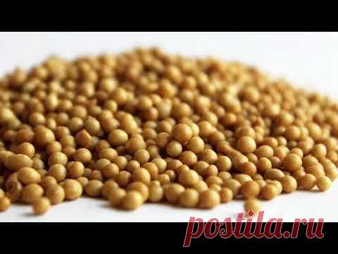 Удобрения пролонгированного действия. За и против - YouTube