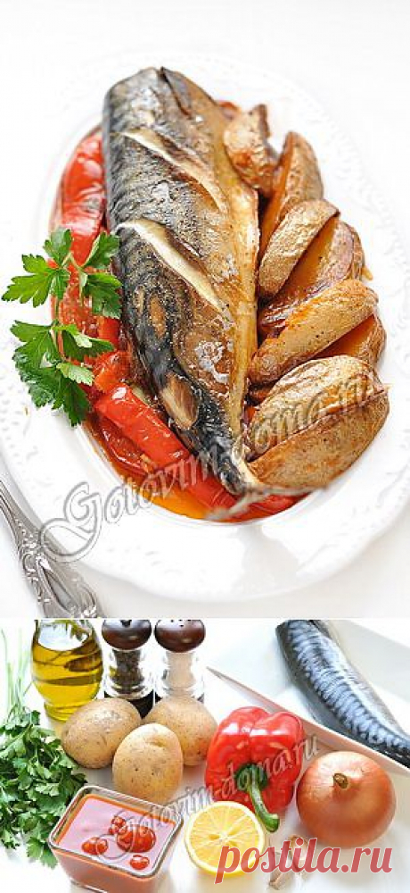 Рецепт: Скумбрия, запеченная с картофелем и болгарским перцем