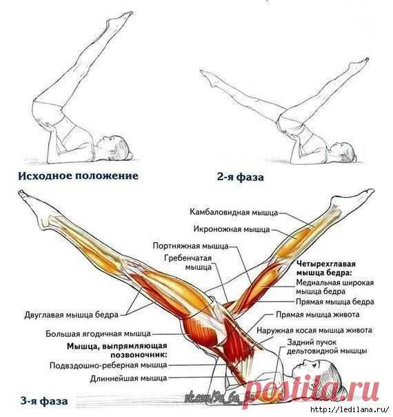 КАК УБРАТЬ ЖИР С НИЗА ЖИВОТА
