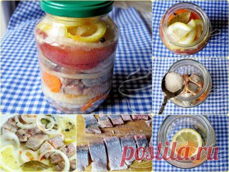 СЕЛЬДЬ ПО-ГОЛЛАНДСКИ