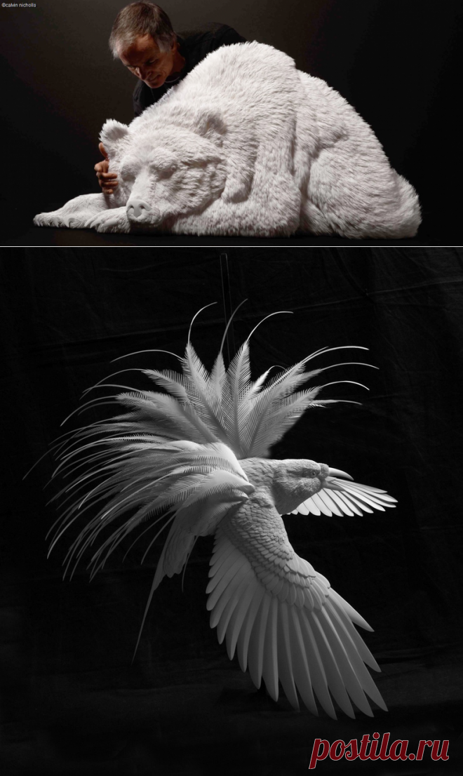 Сорок восемь дюймов медведя, созданные из архивной бумаги канадского художника Кальвина Николса за 2017/2018 Дэвид Юрман «e; Чарующий праздник »; показ рекламных кампаний и магазинов в Нью-Йорке и Беверли-Хиллз. искусство, бумажное искусство, calvin nicholls, медведь, искусство дикой природы, david yurman, бумажная скульптура, белый на белом, wow, WOW, канадский художник