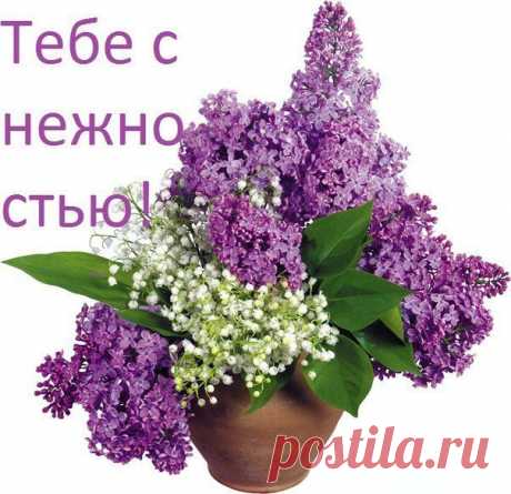 тебе с нежностью