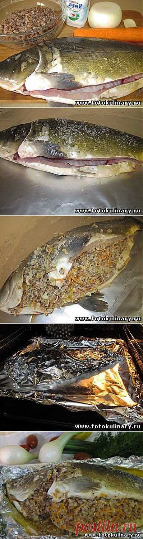Карп фаршированный гречкой - Вторые блюда - Кулинарные рецепты ! - ФотоКулинария