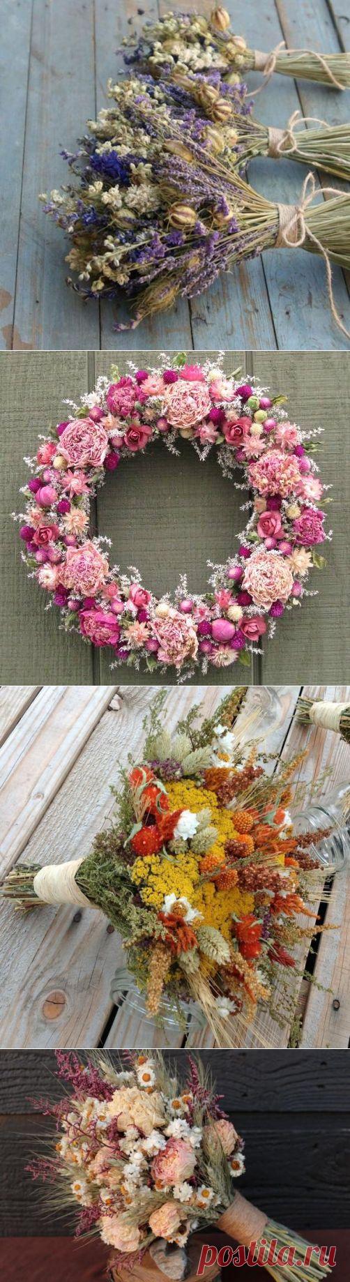 Сухоцветы: секреты технологии | Своими руками