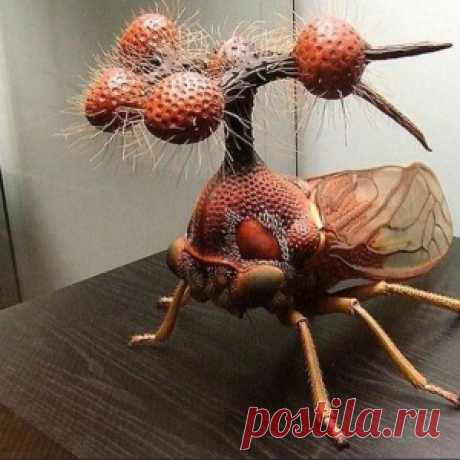 Самые странные и ужасные насекомые мира