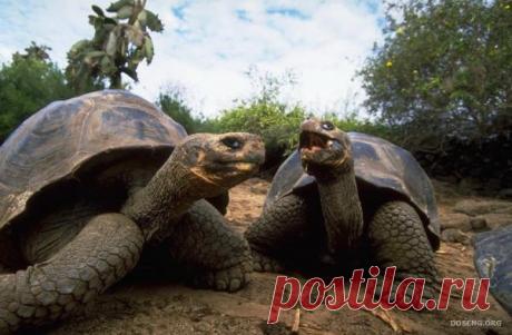 ПОДБОРКА ШИКАРНЫХ ФОТОГРАФИЙ ПРИРОДЫ (62 ФОТО)