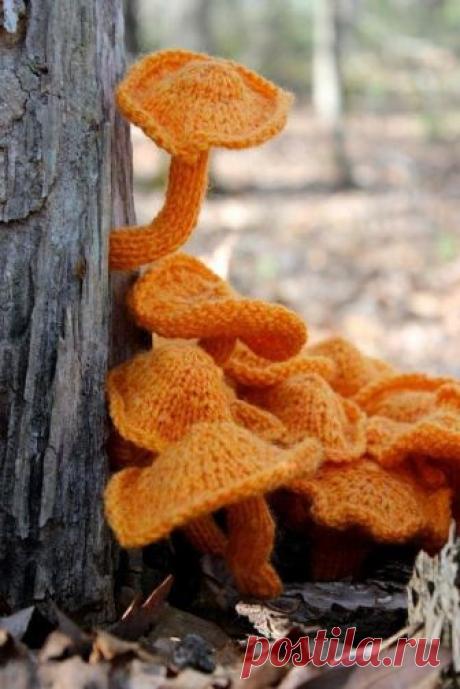 Вдохновение природой. Часть №9 - Всё, на что стОит посмотреть. Сообщество визуальных ассоциаций.