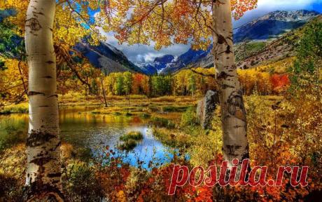 Мой Мир@Mail.Ru