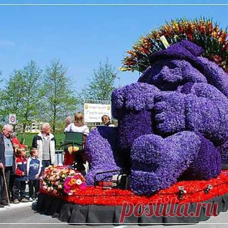 Aalsmeer Flower Parade: километры цветов и миллион живых растений