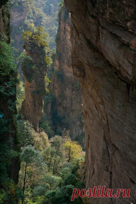 Аватар!Чжанцзяцзе.Хунань.Китай — Яндекс.Диск