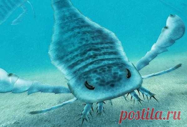 Древние морские скорпионы были гигантами Ученые описали одного из самых крупных хищников, который обитал в океанах Земли до Великого пермского вымирания 252 миллиона лет назад. Это был скорпион длиной 2,5 метра, сообщает Gondwana Research.Окаменелые останки доисторических членистоногих обнаружили в Австралии, которая раньше...
