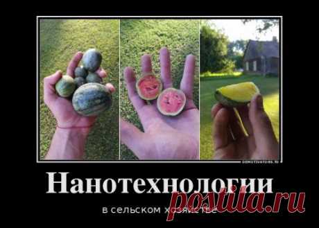 Свежий сборник прикольных демотиваторов (14 шт)
