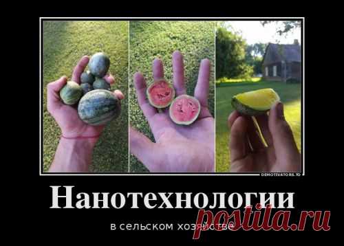 Свежий сборник прикольных демотиваторов (14 шт)