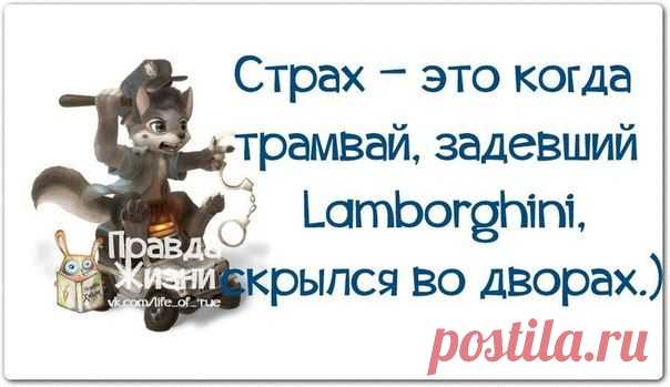 Новогодние фразочки со смыслом :) | Сайт Союза Юмористов