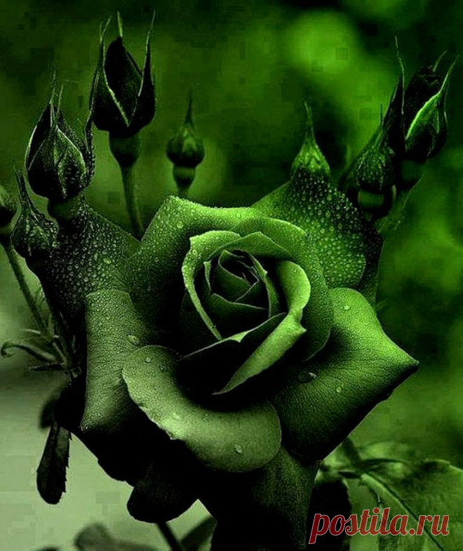 Found on pic-pin.ru