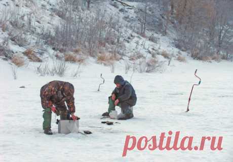 Окуневая "феерия"
Прошло то времечко, когда по матерому, почти метровой толщины льду, мог, не отрываясь от ледобура, просверлить десятки лунок, отыскивая стоянки вожделенной рыбехи. Как говорится в народе: "Старость…