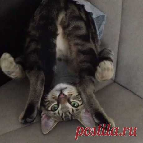 (19) Facebook