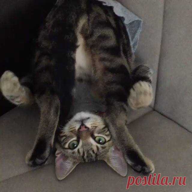 (19) Facebook