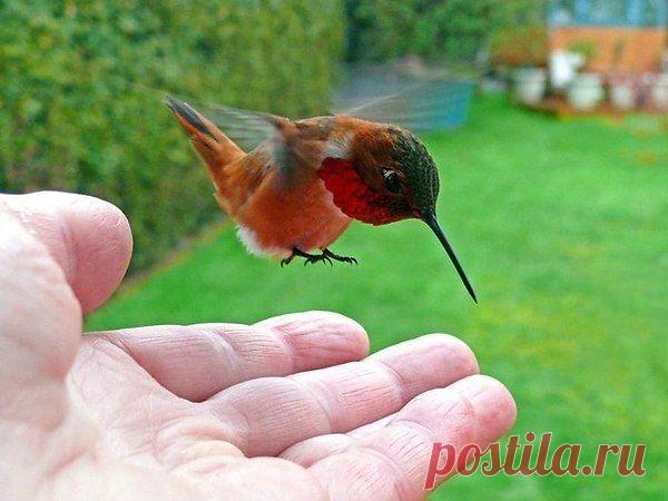 Интересные новости