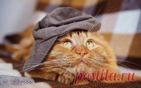 Интересные новости