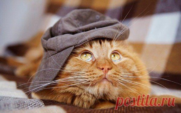 Интересные новости