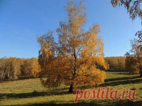 ФОТОМАСТЕРСКАЯ ПРИРОДЫ
Татьяна Рогожина(Чука)