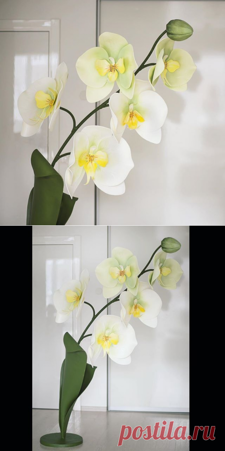 БОЛЬШИЕ БУМАЖНЫЕ ЦВЕТЫ, ДЕКОР (@studio_peonydecor) • Фото и видео в Instagram
