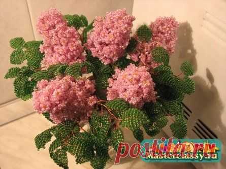 Сирень из бисера. Схемы