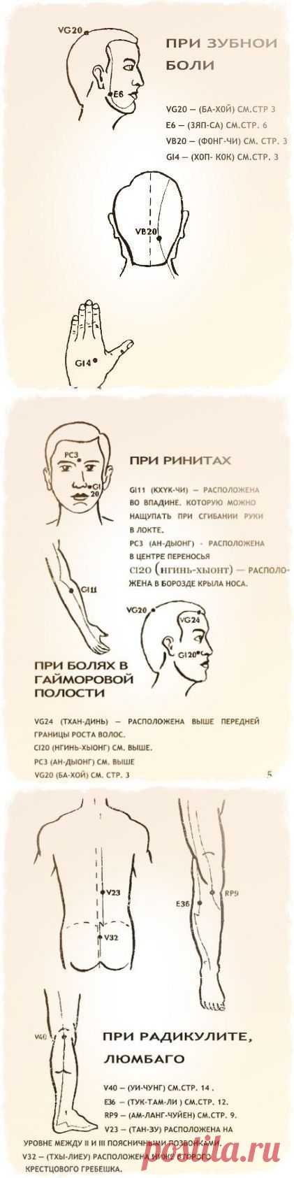 Бальзам «Золотая звезда» Правила эффективного применения. .