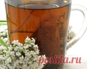 Средства и травы от мигрени