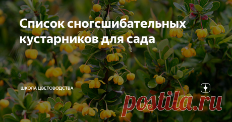 Список сногсшибательных кустарников для сада
