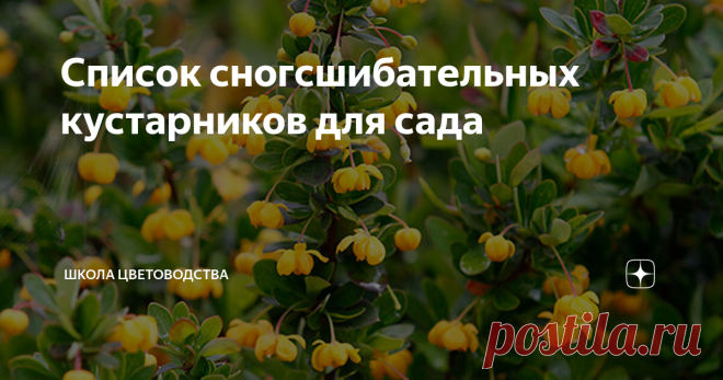 Список сногсшибательных кустарников для сада