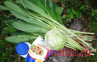 САЛАТ ИЗ КОЛБЫ (ЧЕРЕМШИ) и КАПУСТЫ