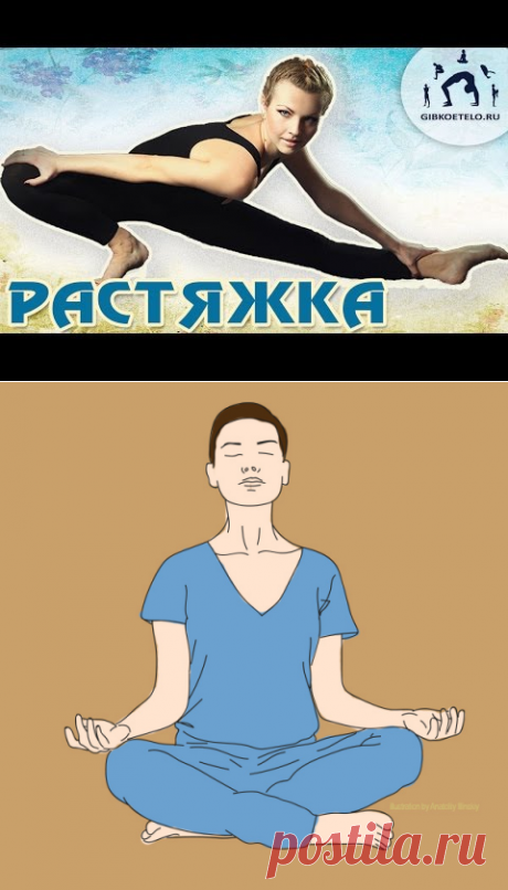 Поиск на Постиле: йога для начинающих