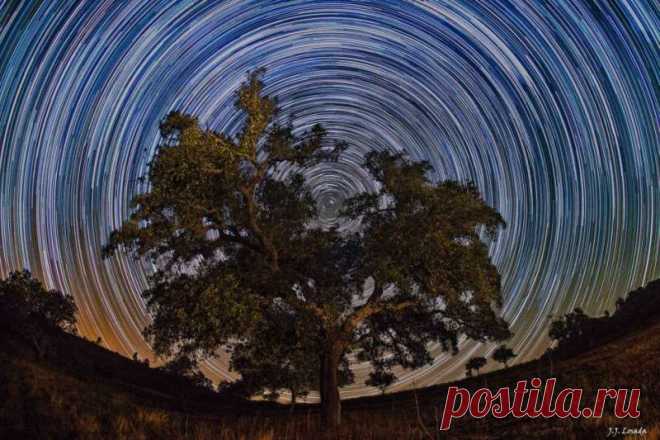 Кажется, чте если залезть на это великолепное дерево, можно дотянуться до северного полюса неба в центре всех дуг – следов звезд. Чтобы создать эту картинку, ночью 5-го октября была сделана последовательность из 30-секундных экспозиций общей продолжительностью в 2 часа. Снимки были сделаны цифровой камерой, установленной на штативе около Альмаден де ла Плата в провинции Севилья на юге Испании, на планете Земля. Конечно, изящные следы звезд отражают вращение Земли вокруг своей оси.