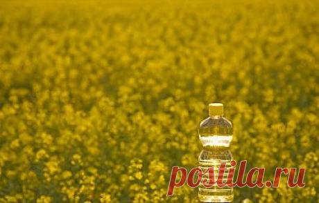 Ритуал по изгнанию жира