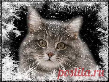 (12) Facebook